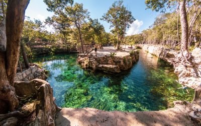 panoramic turtle house cenote