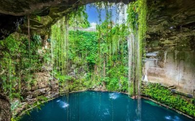 Interior cenote in Riviera Maya