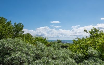Panorámica Reserva Banco Chinchorro