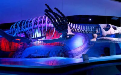 museos en puebla