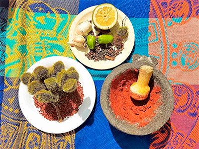 Muestra gastronómica